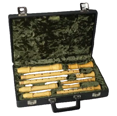 Sopranino/Descant/Treble/Tenor Recorder Hard Case (with Lock)
