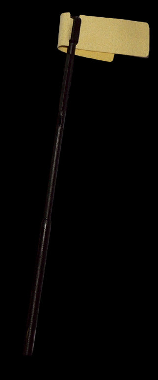 Plastic Cleaning Rod Descant Recorder