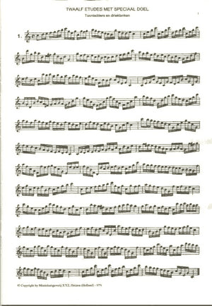 12 Etudes
