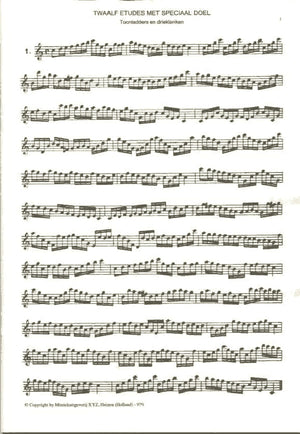 12 Etudes