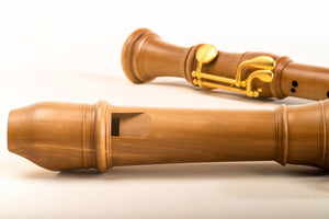 Denner  Tenor in Cherry