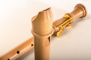 Denner  Tenor in Cherry