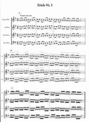 20 Progressive Etudes for Recorder Ensemble