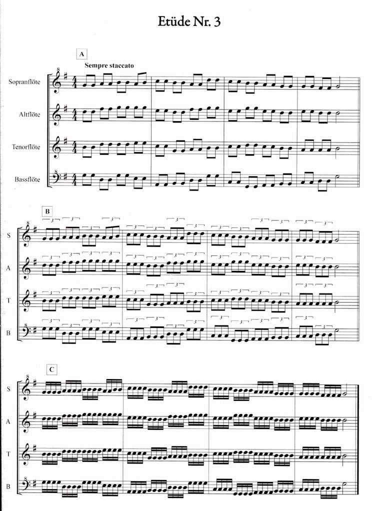 20 Progressive Etudes for Recorder Ensemble