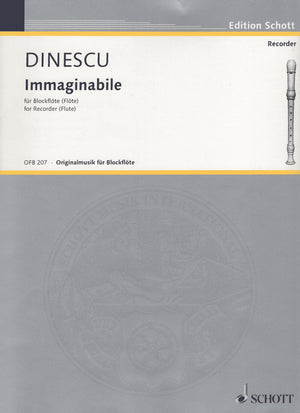 Immaginabile