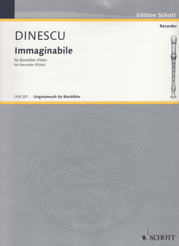 Immaginabile