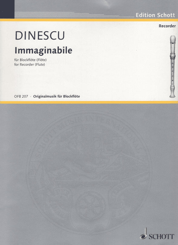Immaginabile