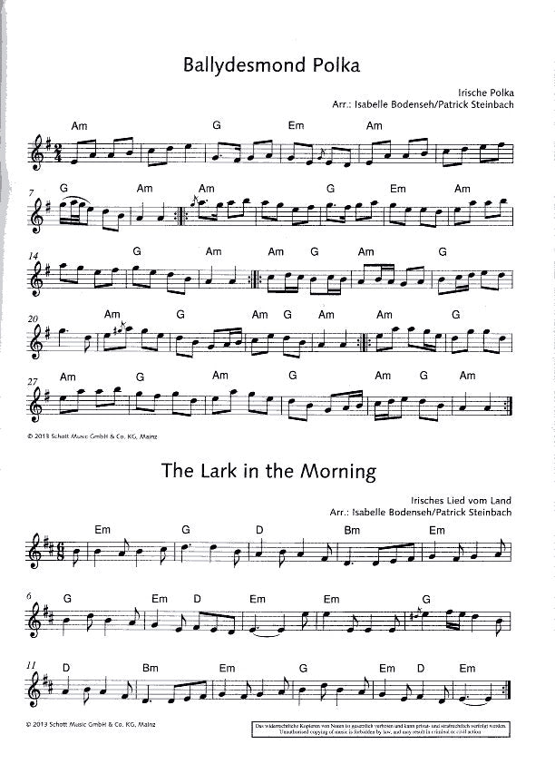 The Irish Flute Book