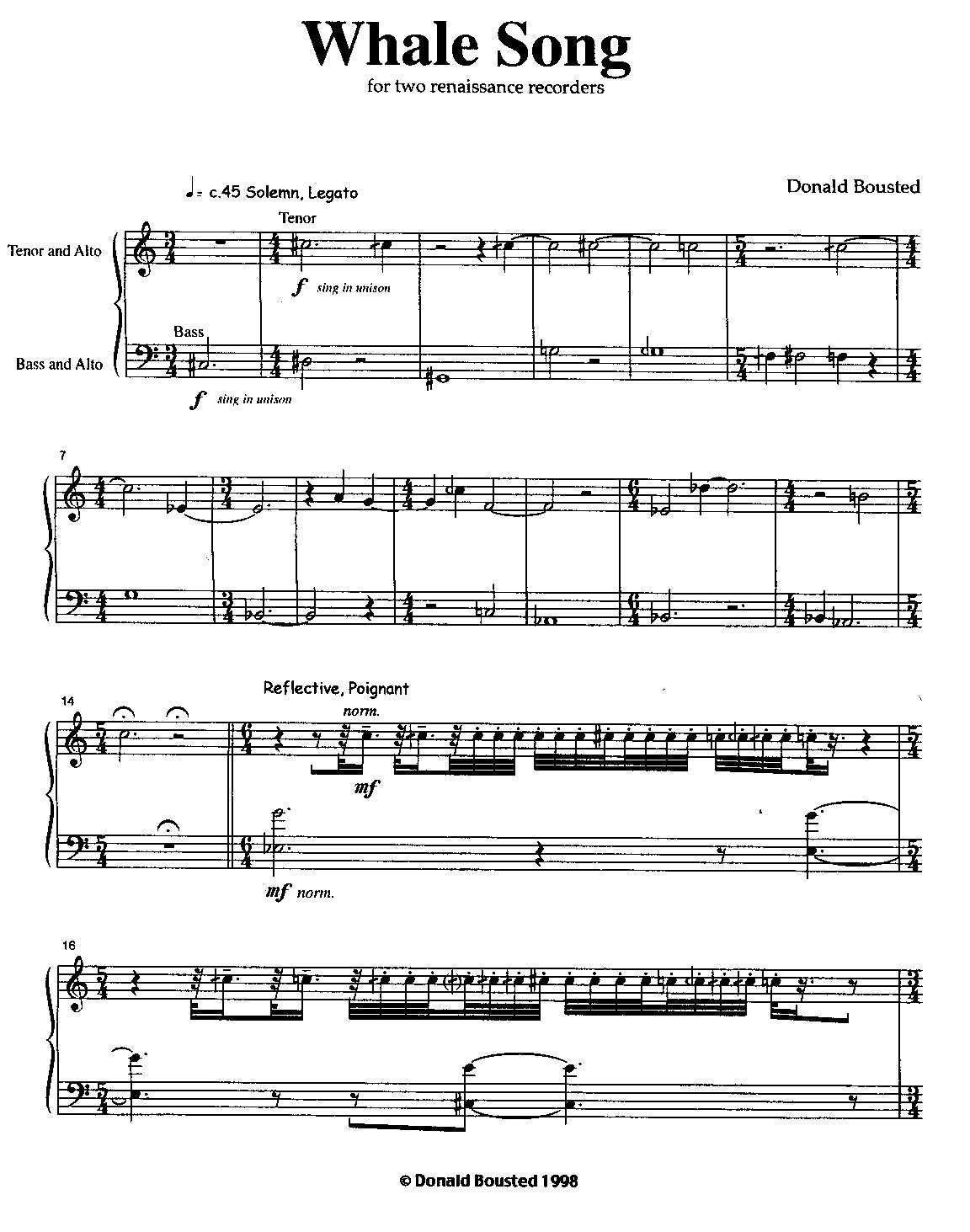 Whale Songs