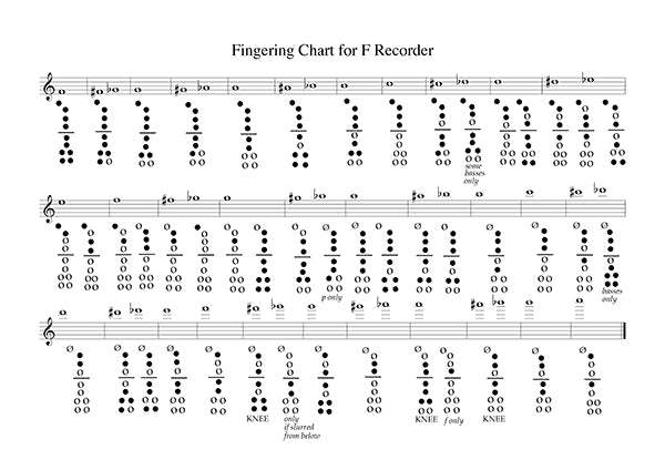 Fingering Chart - Laminated A4