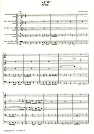 Vuur Fire in D minor