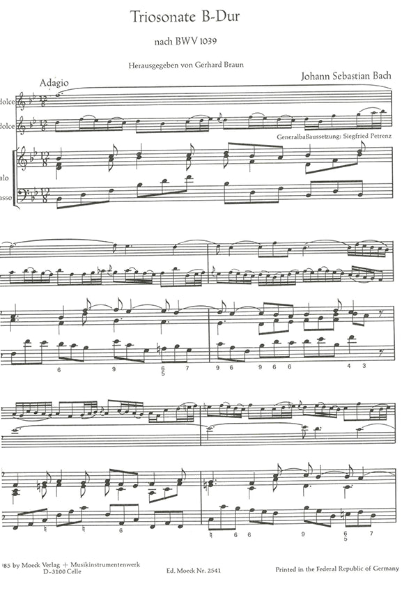 Trio Sonata in B flat Major after BWV1039