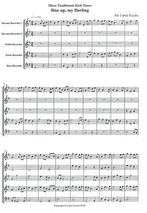 Three Traditional Irish Tunes