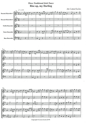 Three Traditional Irish Tunes