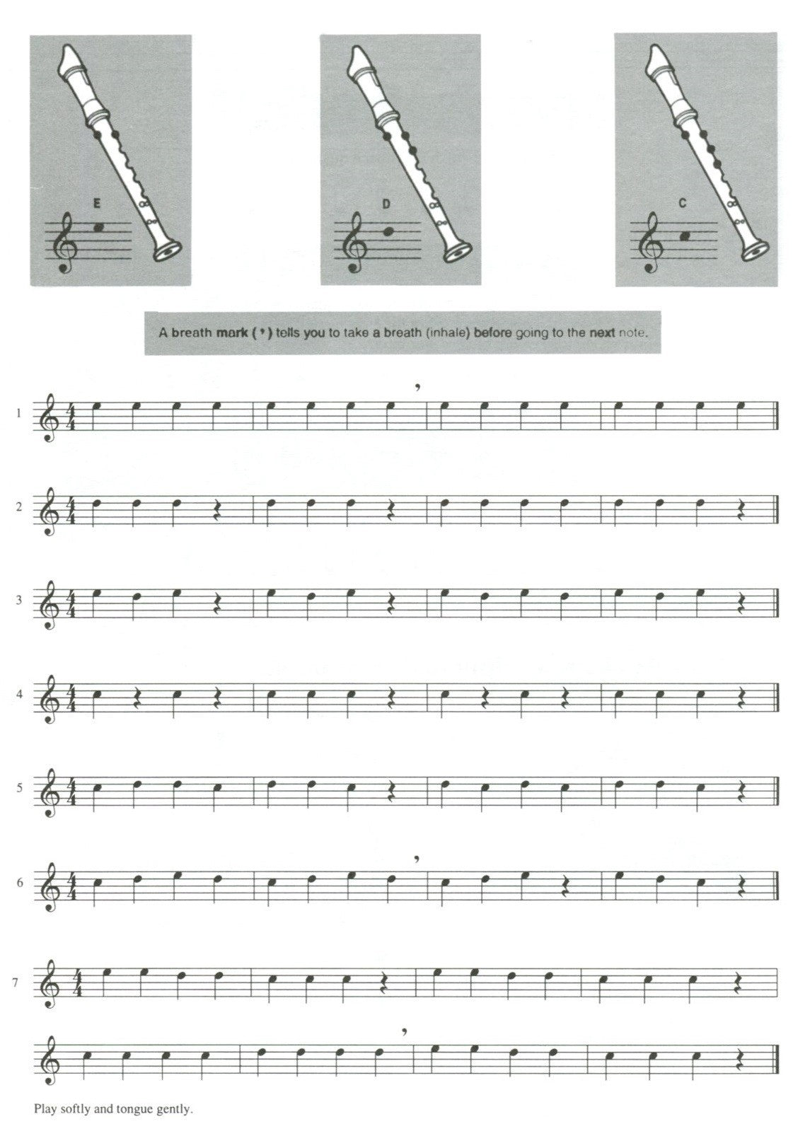 Playing Alto Recorder