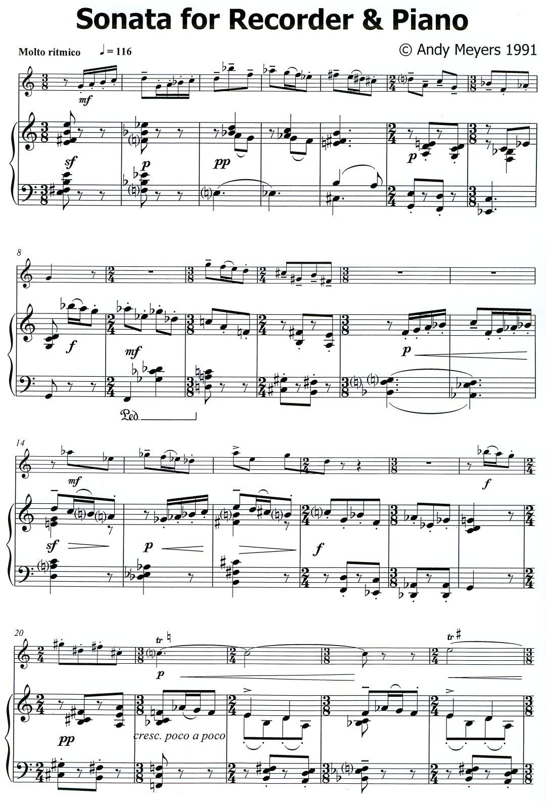 Sonata for Recorder and Piano
