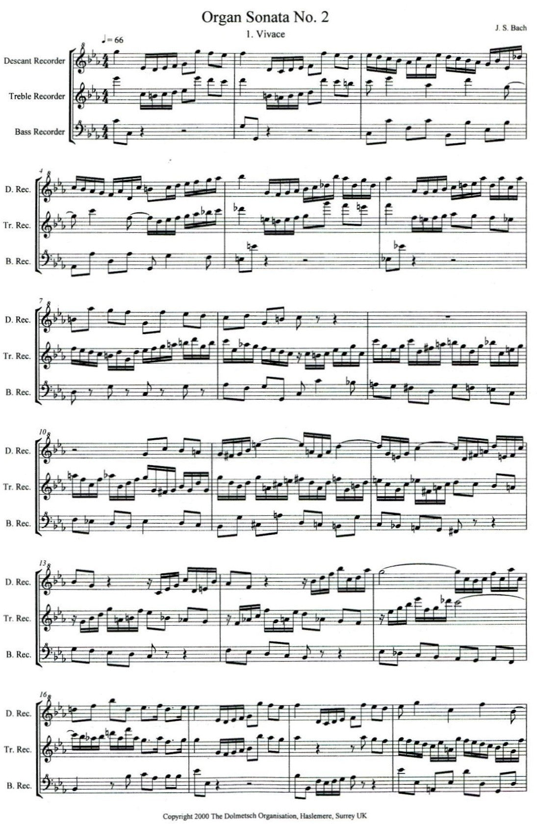 Organ Sonata No2