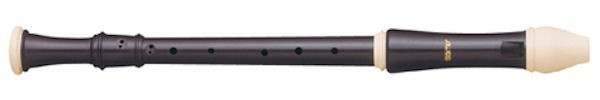 Robin Tenor Recorder