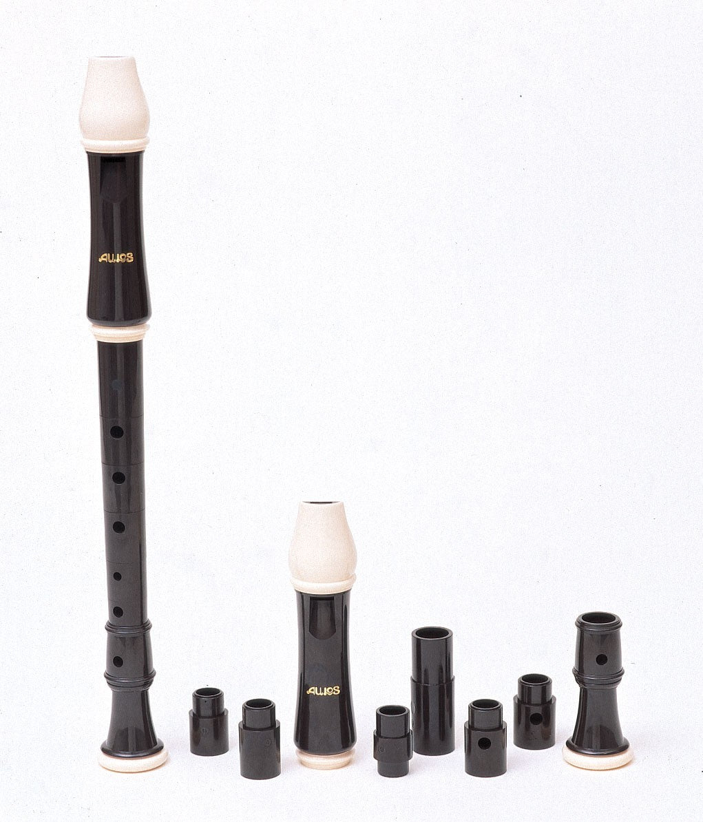 Descant Recorder for the disabled