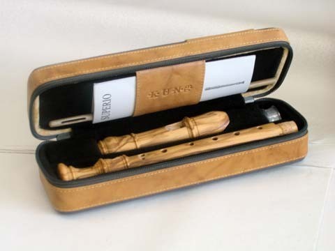 Descant Recorder Case