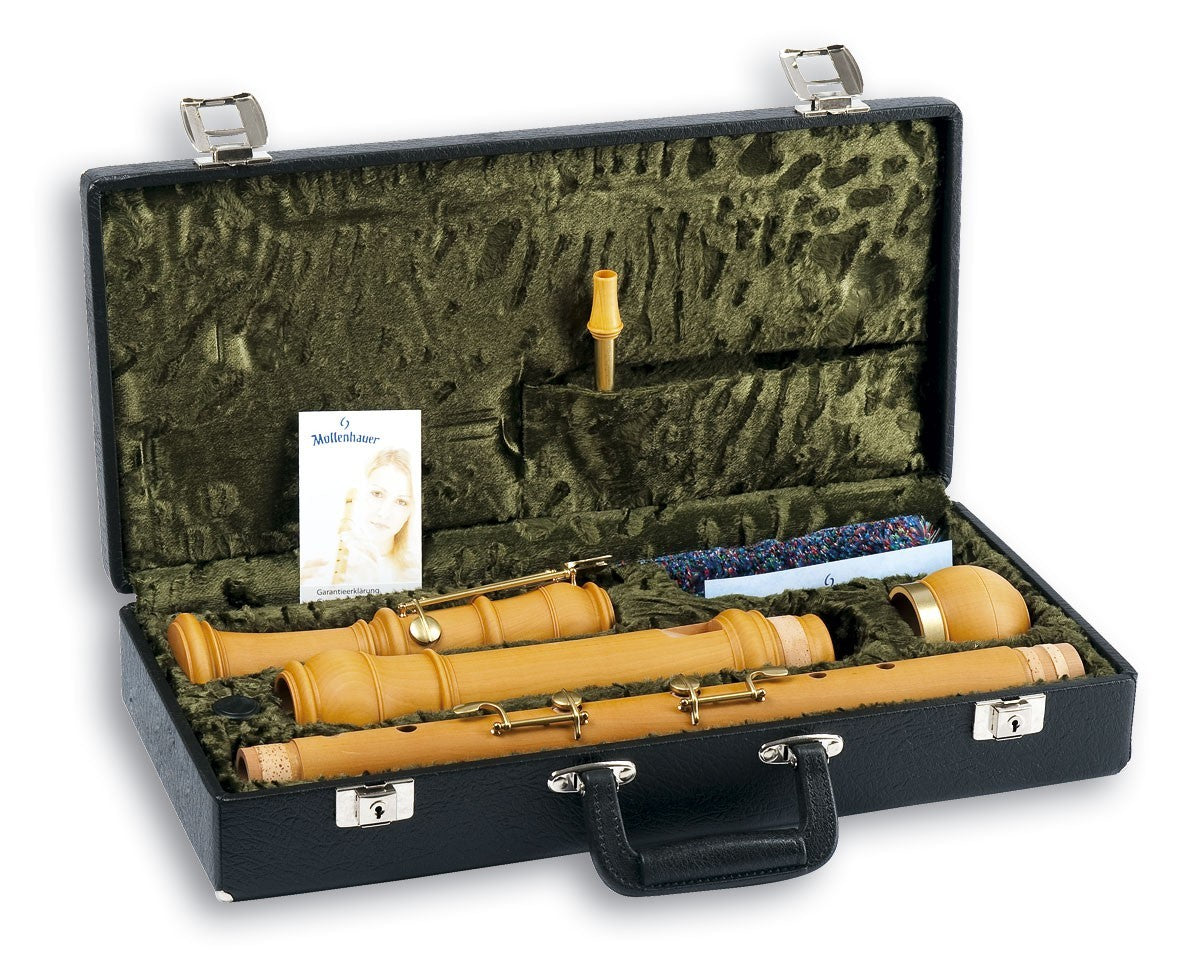 Bass Recorder Hard Case