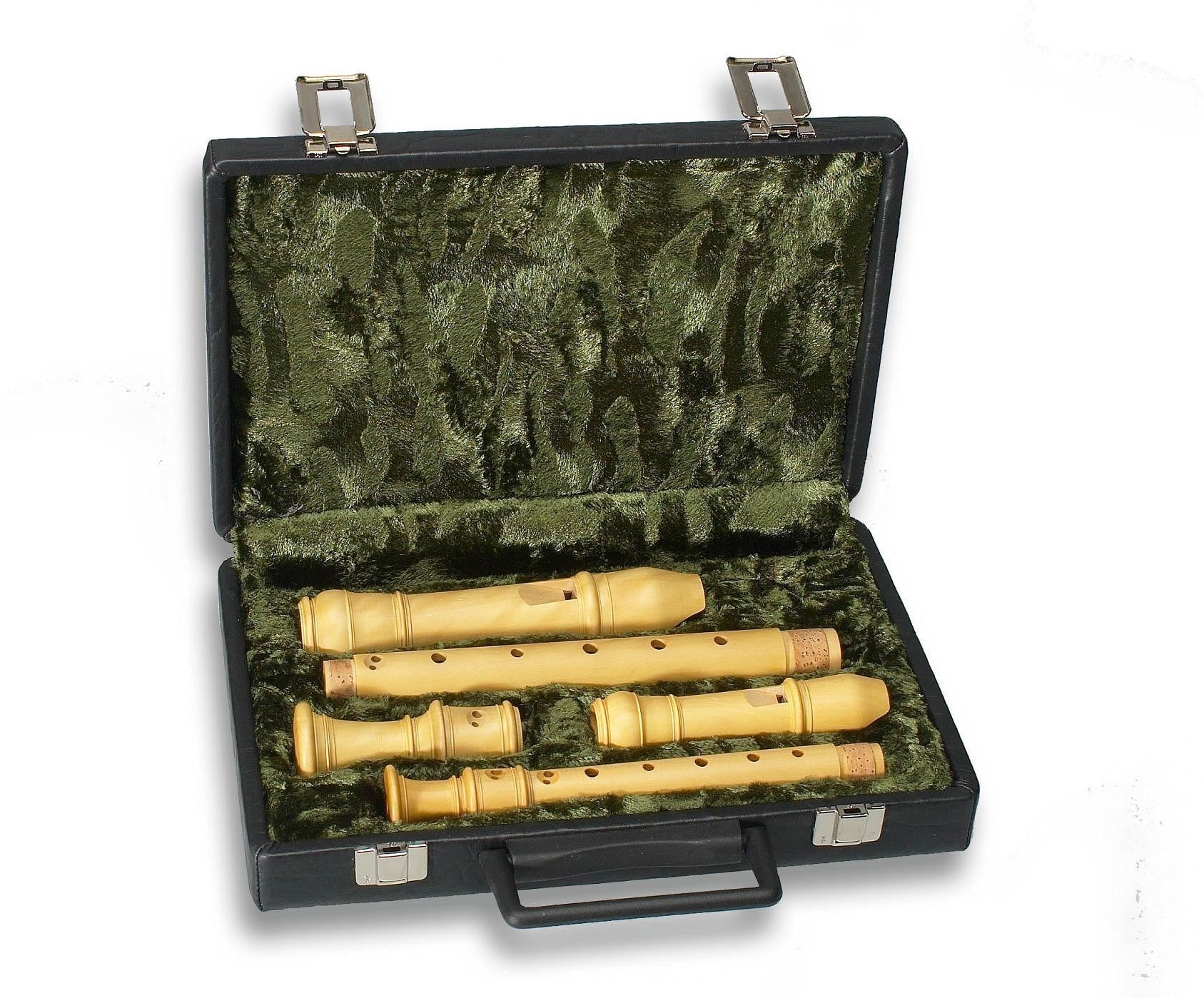 Descant & Treble Recorder Hard Case