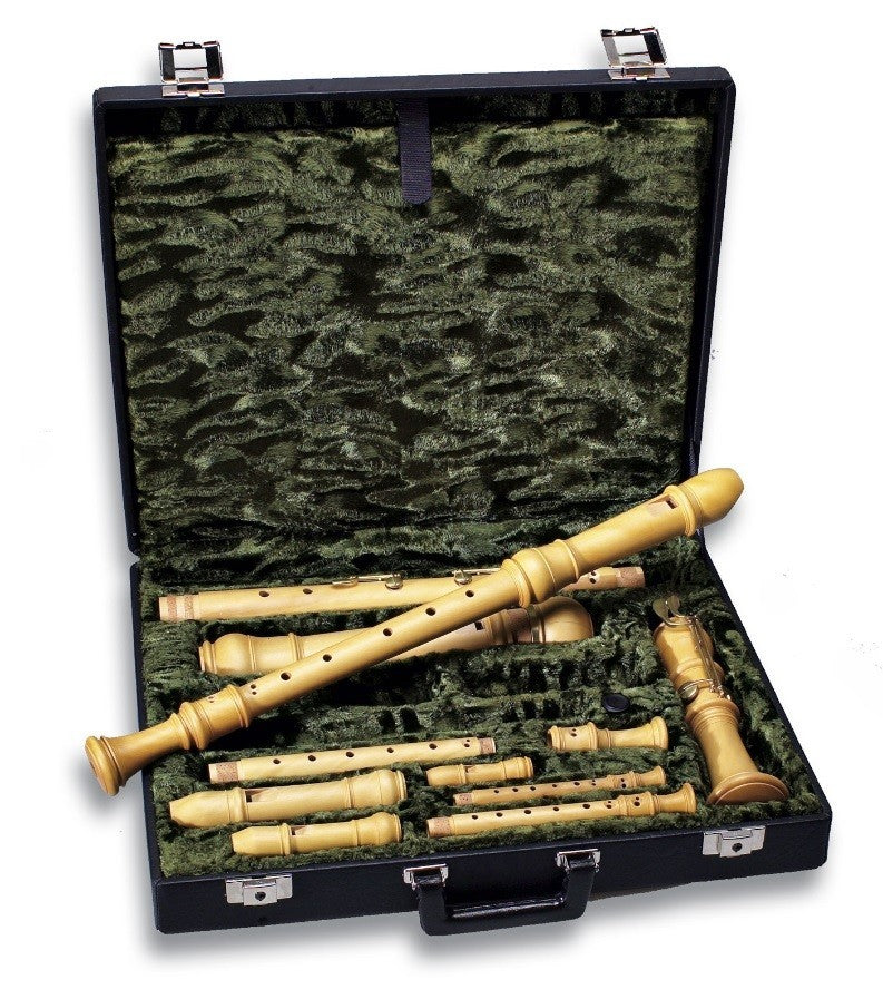 Sopranino/Descant/Treble/Tenor/Bass Recorder Hard Case