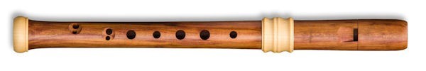Dream-Edition Descant Recorder in Plumwood
