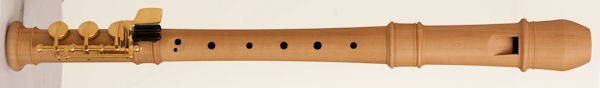 Modern Descant Recorder (B-foot) in Pearwood