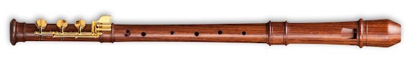 Modern Treble Recorder (E-foot) in Rosewood