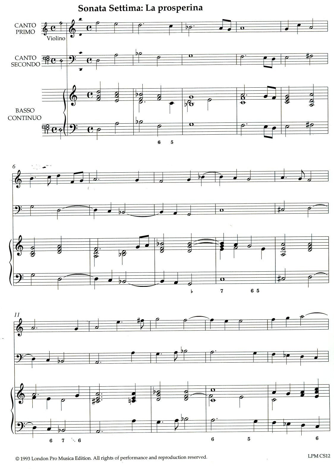 Two Sonatas (Quarto Libro)