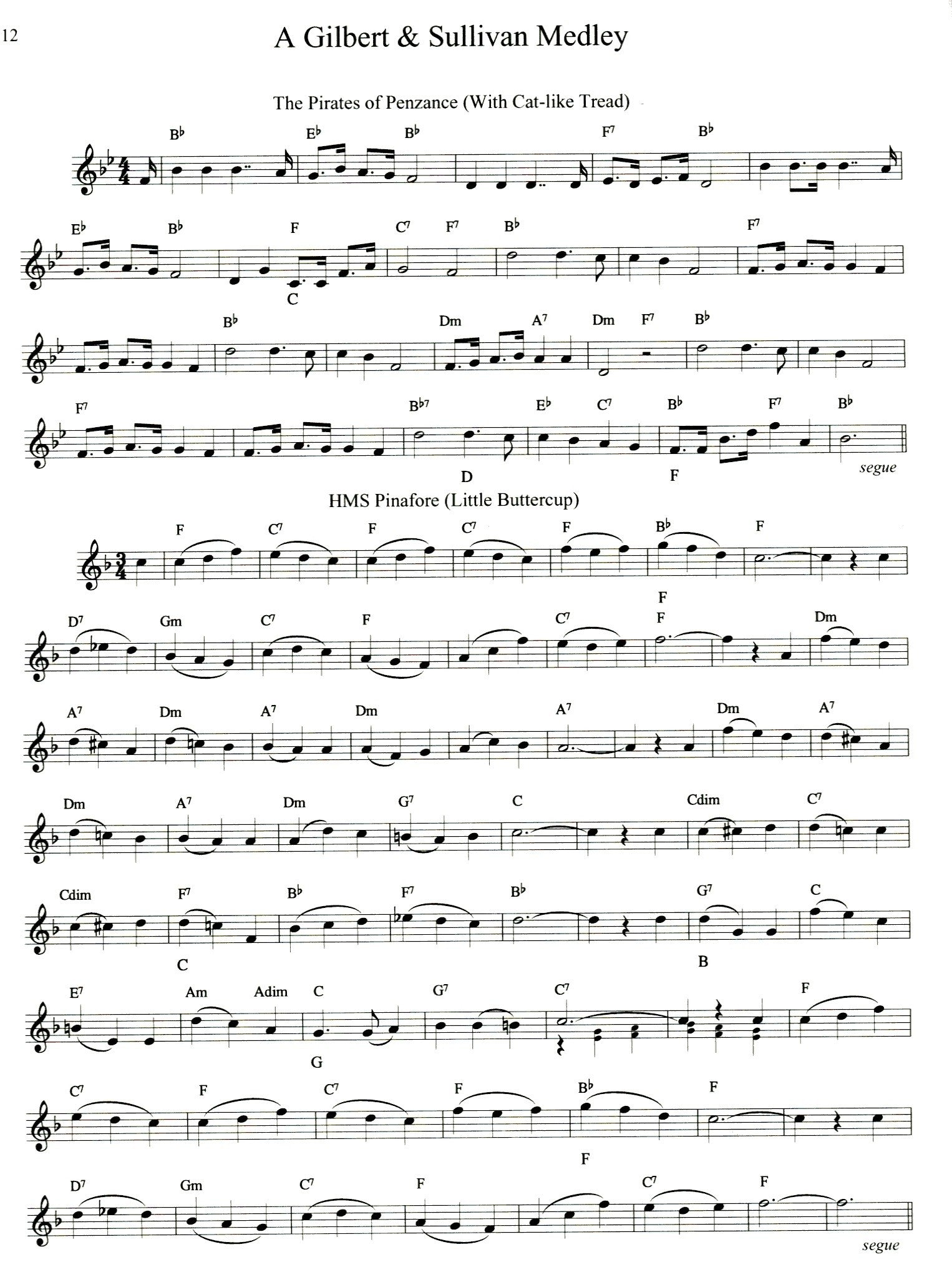 Busker's Companion