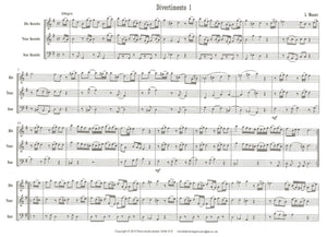 Divertimento No. 1 in G Major for ATB Trio