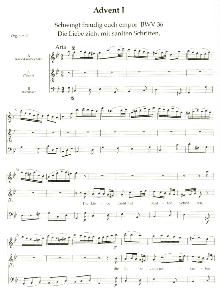 J.S. Bach Cantatas Church Year Vol 1