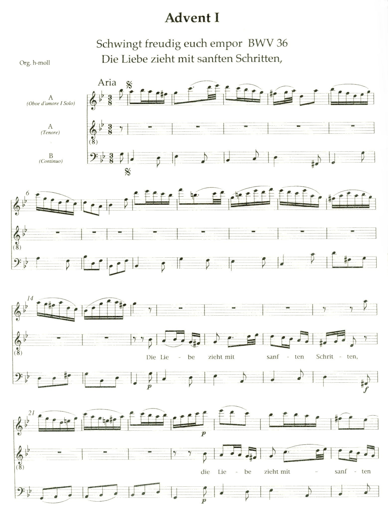 J.S. Bach Cantatas Church Year Vol 1