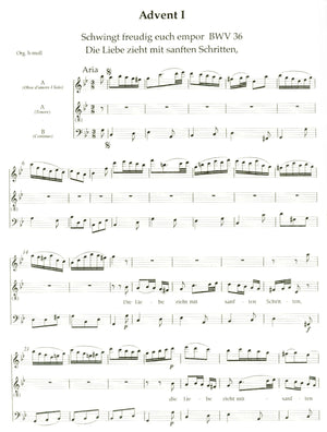 J.S. Bach Cantatas Church Year Vol 1