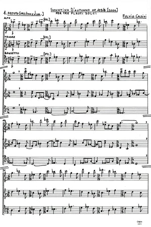 Sonatina d'autunno, Op. 105/B